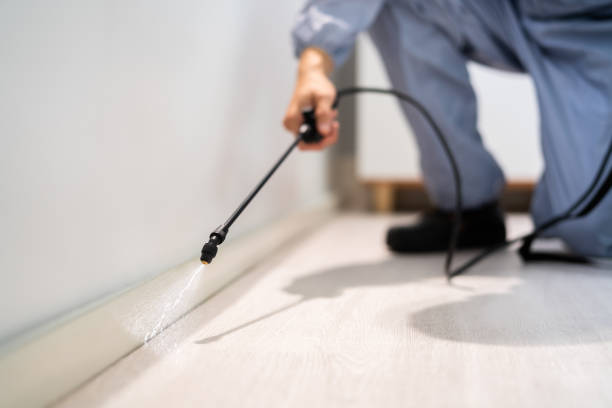 Rodent Entry Point Assessment in Temple City