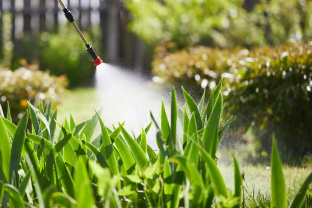 Tamper-Resistant Bait Stations for Rodents in Temple City