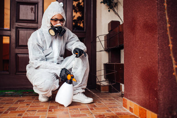 Attic and Crawl Space Rodent Treatment in Temple City